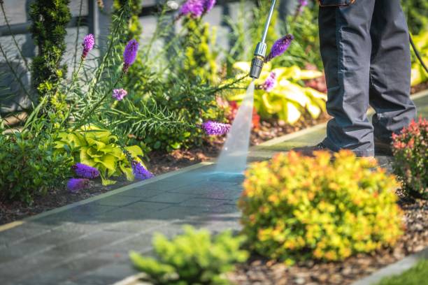 Best Winterizing Services  in Lasalle, IL